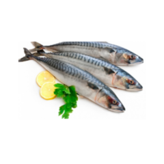 Mackerel 1kg