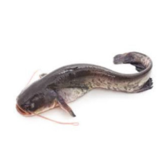 Poisson machoiron 1kg